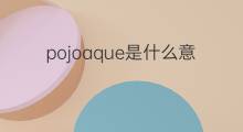 pojoaque是什么意思 pojoaque的中文翻译、读音、例句