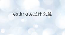 estimate是什么意思 estimate的中文翻译、读音、例句