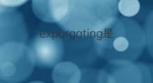 expurgating是什么意思 expurgating的中文翻译、读音、例句