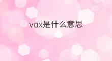vax是什么意思 vax的中文翻译、读音、例句
