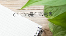 chilean是什么意思 chilean的中文翻译、读音、例句