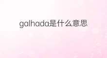 galhada是什么意思 galhada的中文翻译、读音、例句