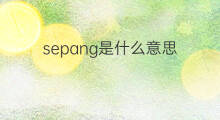 sepang是什么意思 sepang的中文翻译、读音、例句