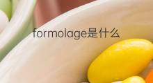formolage是什么意思 formolage的中文翻译、读音、例句
