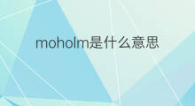 moholm是什么意思 moholm的中文翻译、读音、例句