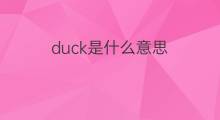 duck是什么意思 duck的中文翻译、读音、例句
