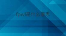fpwl是什么意思 fpwl的中文翻译、读音、例句
