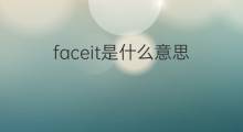 faceit是什么意思 faceit的中文翻译、读音、例句