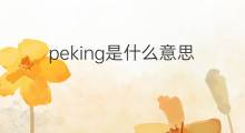 peking是什么意思 peking的中文翻译、读音、例句