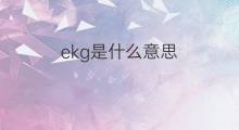 ekg是什么意思 ekg的中文翻译、读音、例句
