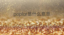poplar是什么意思 poplar的中文翻译、读音、例句