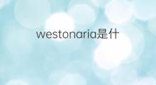 westonaria是什么意思 westonaria的中文翻译、读音、例句