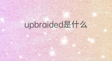 upbraided是什么意思 upbraided的中文翻译、读音、例句