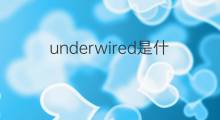 underwired是什么意思 underwired的中文翻译、读音、例句