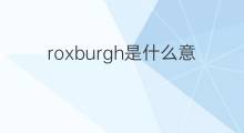 roxburgh是什么意思 roxburgh的中文翻译、读音、例句