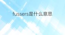 fussers是什么意思 fussers的中文翻译、读音、例句