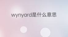 wynyard是什么意思 wynyard的中文翻译、读音、例句