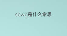 sbwg是什么意思 sbwg的中文翻译、读音、例句