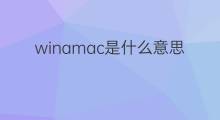 winamac是什么意思 winamac的中文翻译、读音、例句