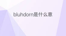 bluhdorn是什么意思 bluhdorn的中文翻译、读音、例句