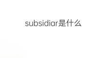 subsidiar是什么意思 subsidiar的中文翻译、读音、例句