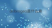 dobrogea是什么意思 dobrogea的中文翻译、读音、例句