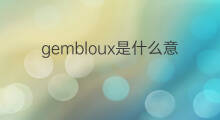 gembloux是什么意思 gembloux的中文翻译、读音、例句
