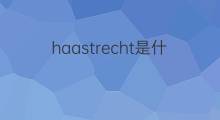 haastrecht是什么意思 haastrecht的中文翻译、读音、例句