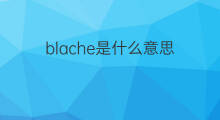 blache是什么意思 blache的中文翻译、读音、例句