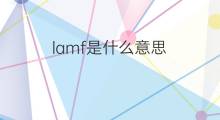 lamf是什么意思 lamf的中文翻译、读音、例句
