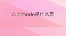 dualmode是什么意思 dualmode的中文翻译、读音、例句