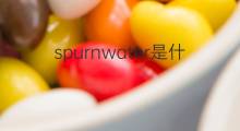 spurnwater是什么意思 spurnwater的中文翻译、读音、例句