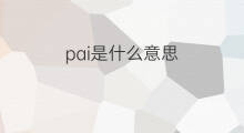 pai是什么意思 pai的中文翻译、读音、例句