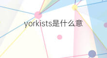yorkists是什么意思 yorkists的中文翻译、读音、例句