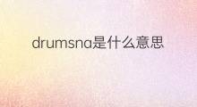 drumsna是什么意思 drumsna的中文翻译、读音、例句