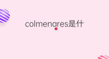 colmenares是什么意思 colmenares的中文翻译、读音、例句