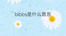 bibbs是什么意思 英文名bibbs的翻译、发音、来源