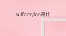 sulfamylon是什么意思 sulfamylon的中文翻译、读音、例句