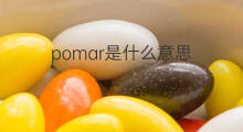 pomar是什么意思 pomar的中文翻译、读音、例句