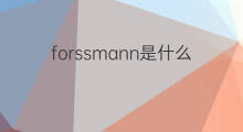 forssmann是什么意思 forssmann的中文翻译、读音、例句