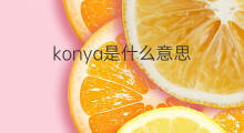 konya是什么意思 konya的中文翻译、读音、例句