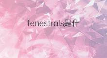 fenestrals是什么意思 fenestrals的中文翻译、读音、例句