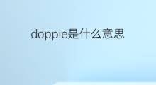 doppie是什么意思 doppie的中文翻译、读音、例句