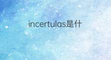 incertulas是什么意思 incertulas的中文翻译、读音、例句
