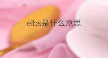eibs是什么意思 eibs的中文翻译、读音、例句