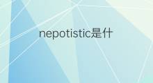 nepotistic是什么意思 nepotistic的中文翻译、读音、例句