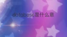 database是什么意思 database的中文翻译、读音、例句