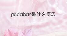 gadabas是什么意思 gadabas的中文翻译、读音、例句