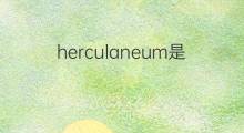 herculaneum是什么意思 herculaneum的中文翻译、读音、例句