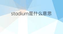 stadium是什么意思 stadium的中文翻译、读音、例句